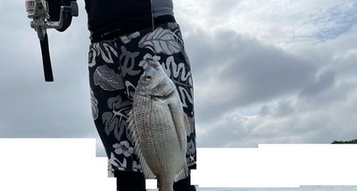 rT7tfhikgzGlq6O89l8P.jpg?w=940&h=940