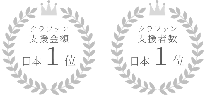 クラウドファンディングの実績