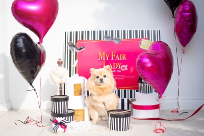 rTZbq9Eze0oQGZFV8IEk.jpg?w=940&h=940