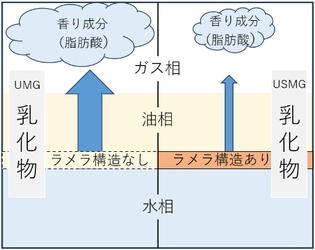 雪印メグミルク マーガリン類の油水界面の構造が 香り成分の放出に影響することを確認
