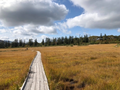 rUVE1Eek2IYGx5chY8J0.jpg?w=940&h=940