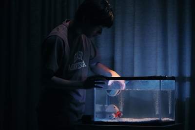 rUjHXrhZXohpxW096dsv.jpg?w=940&h=940