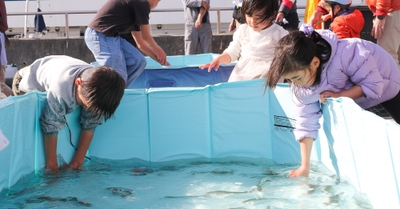 rV3kcyv5OQA4trWe8cAU.jpg?w=940&h=940