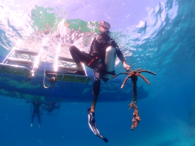 rVEwuGxf0lcpWHnlhVae.jpg?w=940&h=940