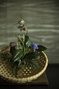 rX4lEpj5WgiiECeoYwxn.jpg?w=940&h=940