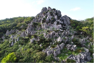 rXI3OGBSMZ4mEcPn3GXp.jpg?w=940&h=940