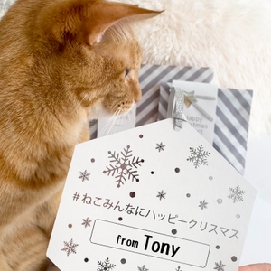 rYVxBngYIworcApXvTkF.jpg?w=940&h=940