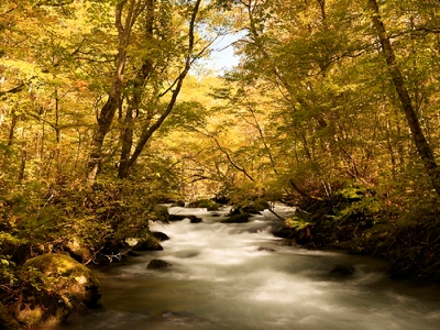 rYxDxlV4g9UpKUyXHL9A.jpg?w=940&h=940