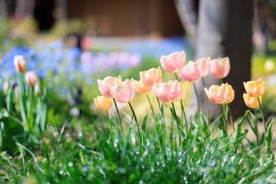 rZ8XYbtWHj2KfhqOpB6T.jpg?w=940&h=940