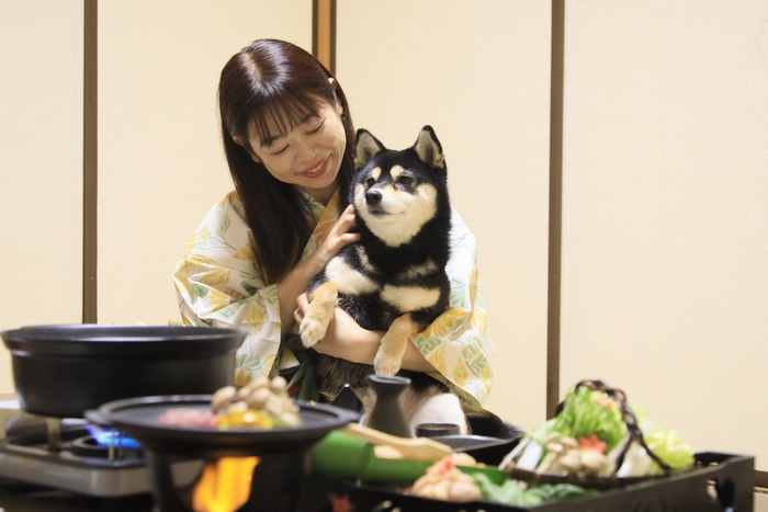 お部屋食でわんちゃんも安心