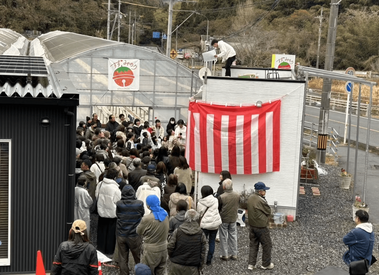 いちご農園再建に併せて様々なイベントを実施・餅まき