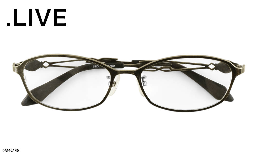 電脳少女シロモデル アンティークブラック 正面たたみ