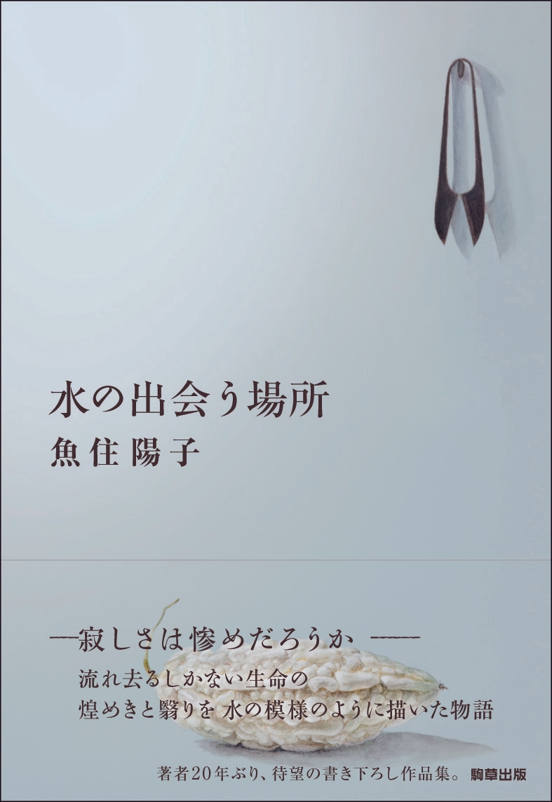 『水の出会う場所』 駒草出版 1,980円(税込)/四六判/342頁/ISBN 978-4-905447-35-1/2014年9月発売
