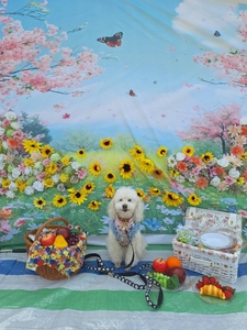 rbClo0eNTEsoC0KKtFRX.jpg?w=940&h=940