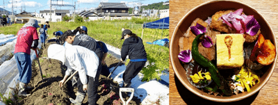 アグリビジネス実習でのサツマイモの収穫の様子（左）、HeguriDeliへぐりの華咲く彩り弁当（右）