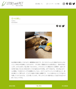 rey5JI7yU0lVmmYzqHQo.png?w=940&h=940