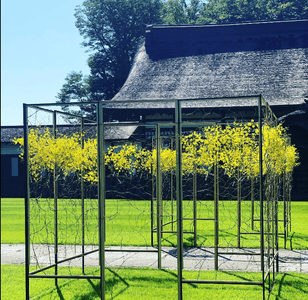 rfzrjbmJZkLWZpymptso.png?w=940&h=940