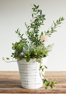 【オータム・ウィンターコレクション】  季節のお任せアソート