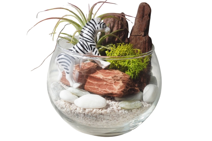 「グラスガーデン」ワークショップ画像(1)