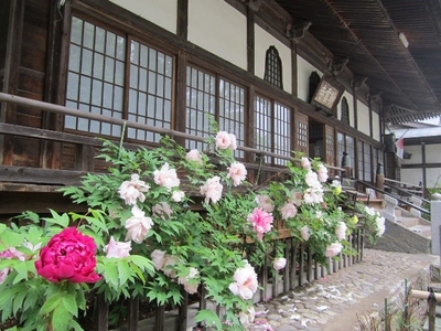 rhSquxGxgvgSHtSA2zis.jpeg?w=940&h=940