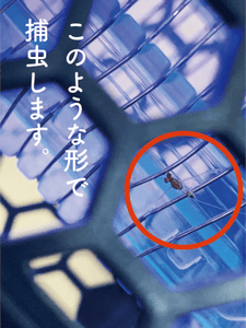 rhcQ9tfKn0MLeK0GqFuZ.png?w=940&h=940