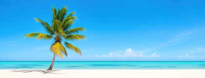 riI5LsYcWXTdk5HjbuJ8.jpg?w=940&h=940