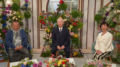 riV60VX5tvtf2O0oy3Nr.JPG?w=940&h=940