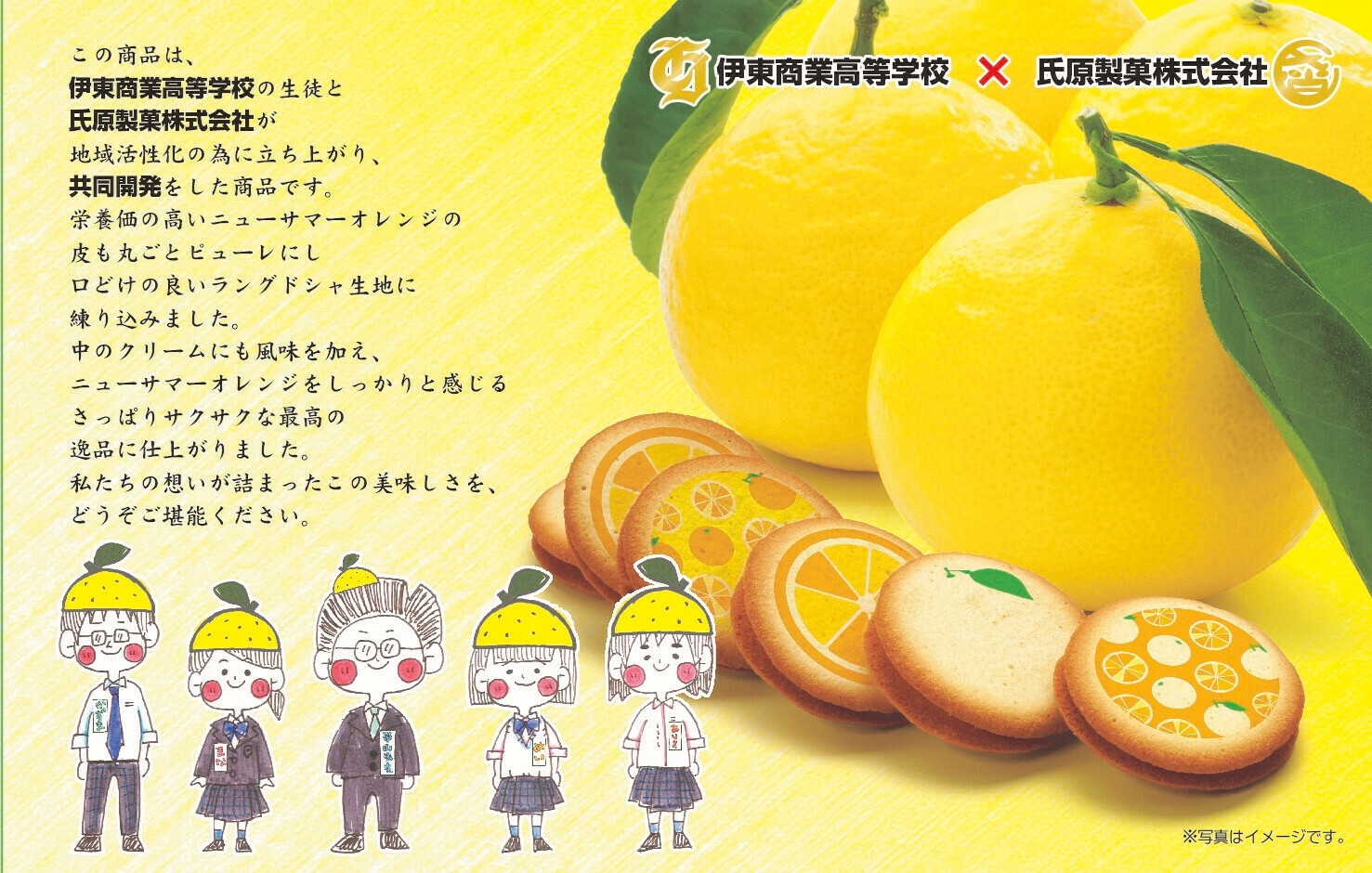 (大賞商品)ニューサマーオレンジ ラングドシャ 商品画像(内箱)