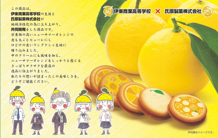 (大賞商品)ニューサマーオレンジ ラングドシャ 商品画像(内箱)