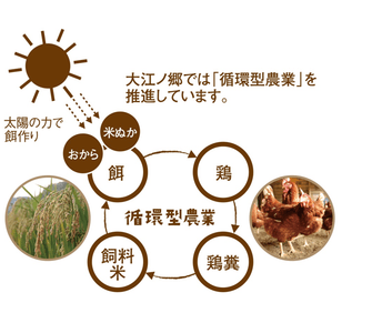 rjDcna02LwpgNfNRrUK4.png?w=940&h=940