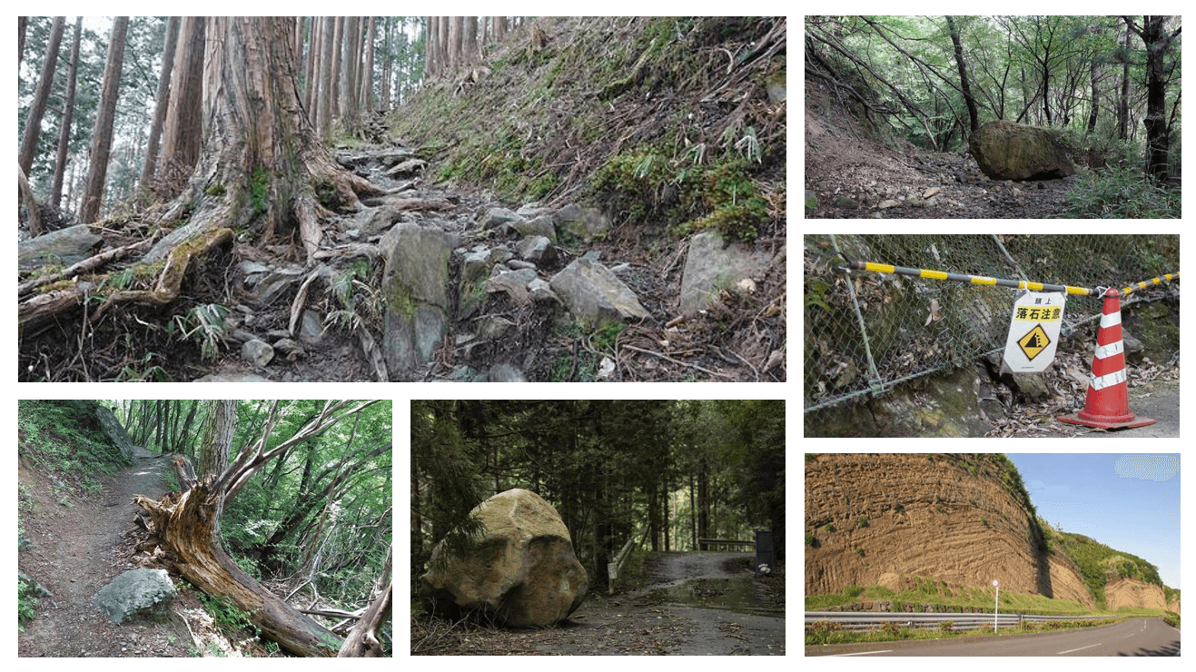 ※調査の現場:イメージ画像