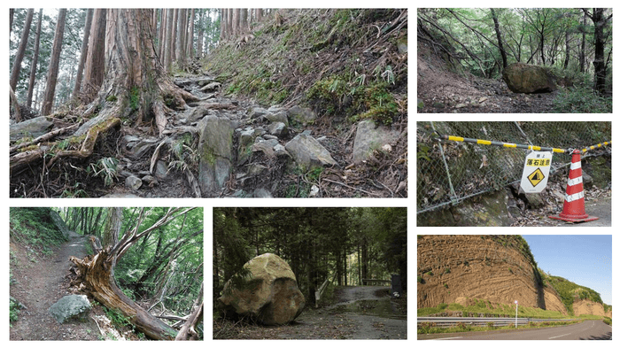 ※調査の現場:イメージ画像