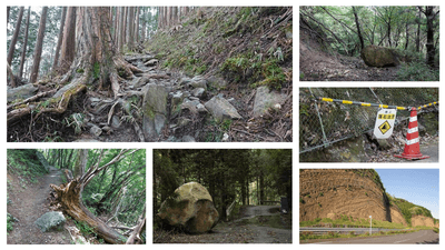 ※調査の現場：イメージ画像