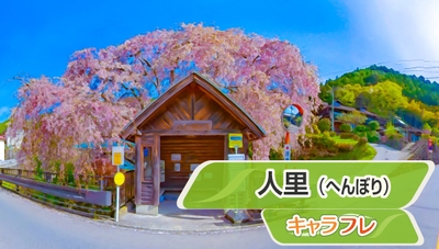 人里（へんぼり）枝垂れ桜