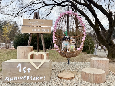 rlKRJodGO2zCb2W2ABFD.JPEG?w=940&h=940