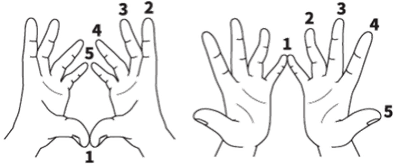 4ステップの“西式フィンガーエクササイズ”