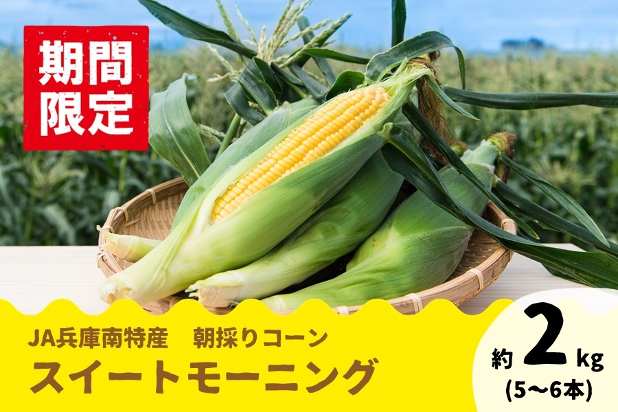 甘さがぎゅぎゅっと! 兵庫県産「スイートモーニング」の予約販売開始! 6月下旬頃順次発送!