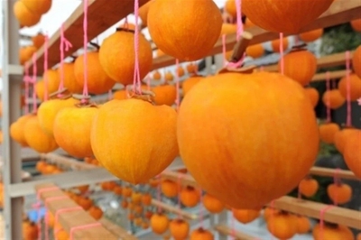 rpNfCSm1jzHkQOtwkteI.jpeg?w=940&h=940