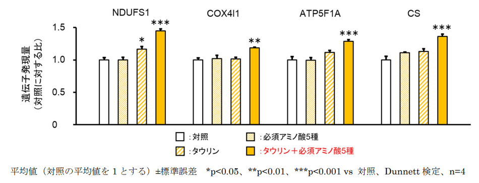 図2 ATP産生関連因子に及ぼすタウリンと必須アミノ酸5種の効果