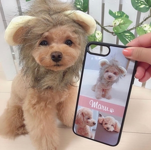 rqjMMsqKzWog5y3K5Wh6.jpg?w=940&h=940