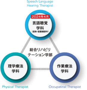 rrcWz31IDUNHjHq6aqXV.png?w=940&h=940