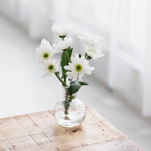 rrcnNEK74xPB93GYPAja.jpg?w=940&h=940