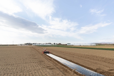 rt6r4ooV2jexvIO6PWL3.jpg?w=940&h=940