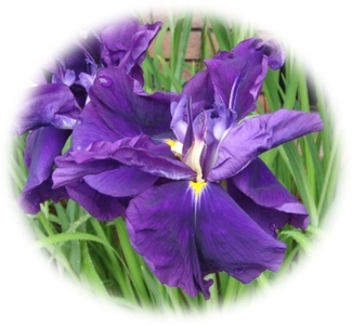 rtEVPma3wZ6tL2rldcFf.jpg?w=940&h=940