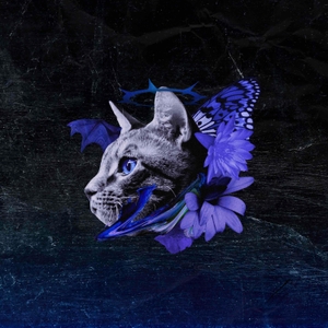 ru0glUwyu2eevvKUOYi4.jpeg?w=940&h=940