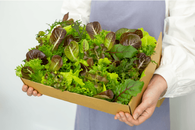 ruHtaE4vwYd8FeLGqpHR.png?w=940&h=940