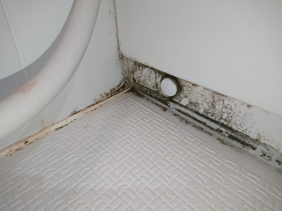 ruxN9UqbxgQqElNGkpZz.jpg?w=940&h=940