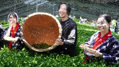 rx3VCD5iTKEVsfsw4607.jpg?w=940&h=940