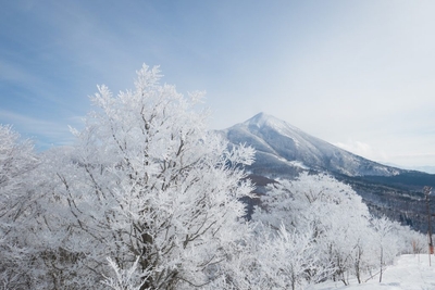 rz6RMgMYr2pRZKKOPHlP.jpg?w=940&h=940