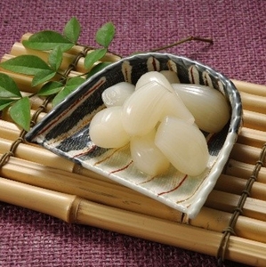 鳥取砂丘らっきょう